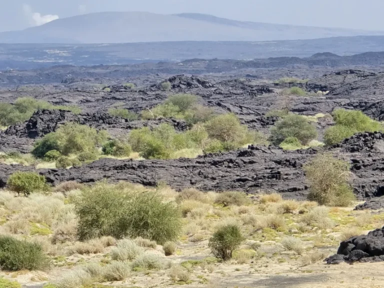 Magyar vulkánkutató exkluzív beszámolója Etiópiából
