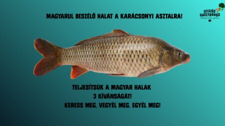 Magyarul beszélő halat a karácsonyi asztalra – online kampányt indít a Felelős Gasztrohős Alapítvány