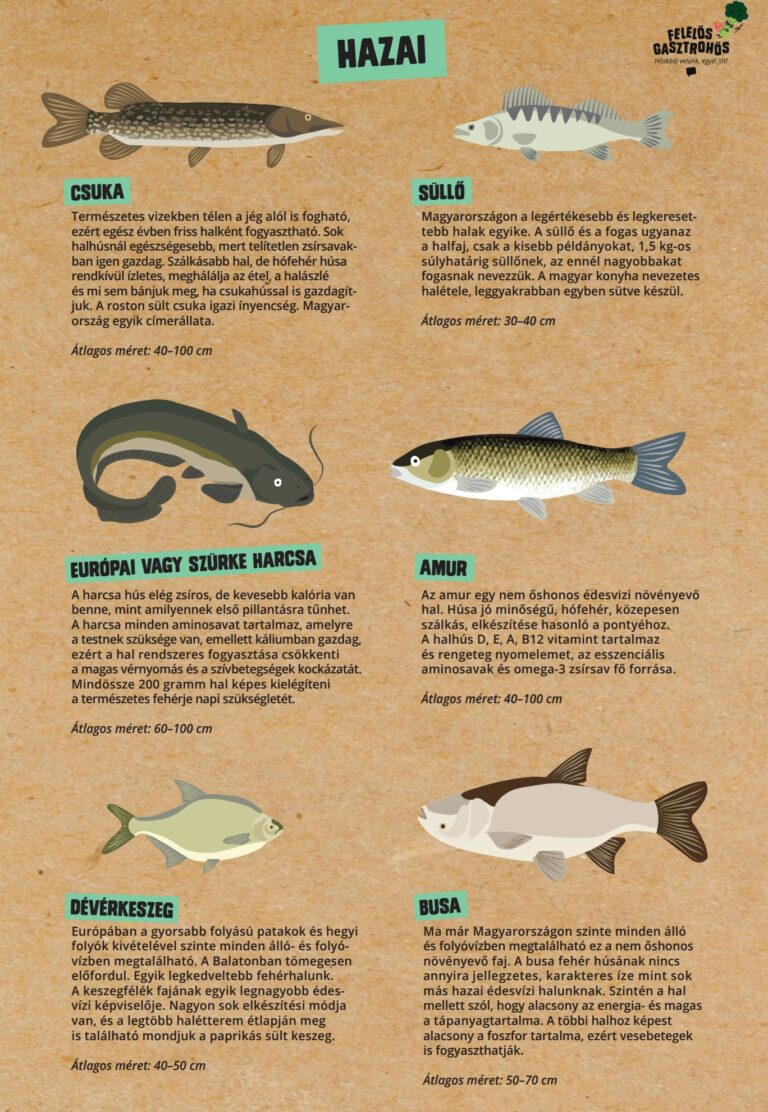 Magyarul beszélő halat a karácsonyi asztalra – online kampányt indít a Felelős Gasztrohős Alapítvány