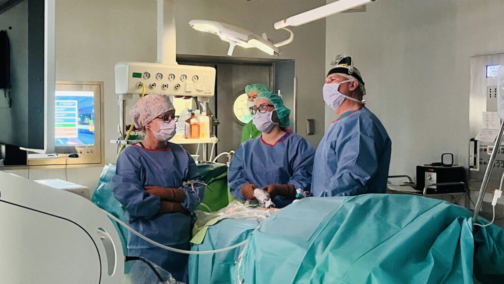 A pécsi Klinikai Központban végezték el az első hazai vese keresztdonációt A pécsi Klinikai Központban végezték el az első hazai vese keresztdonációt