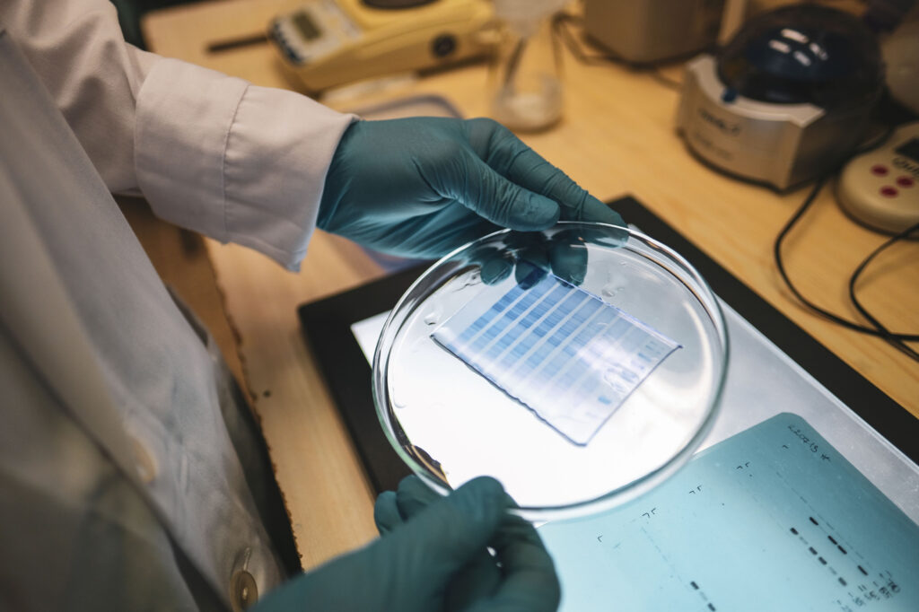 Fontos projekt zárult sikerrel a Pécsi Tudományegyetemen