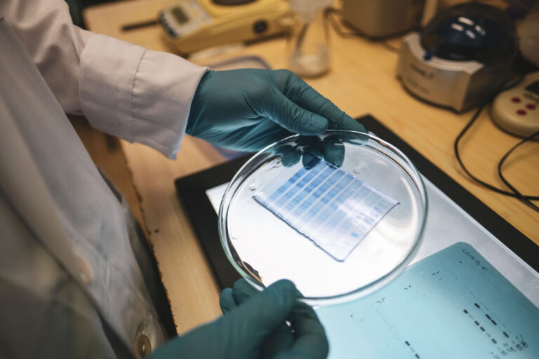 Fontos projekt zárult sikerrel a Pécsi Tudományegyetemen