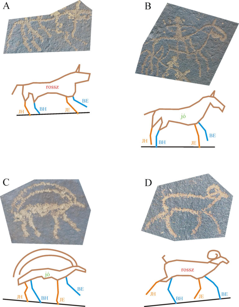 Hogyan jártak az állatok az őskori mongol művészek szerint?
