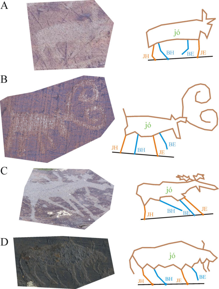 Hogyan jártak az állatok az őskori mongol művészek szerint?