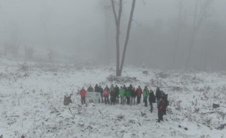 Szemléletváltást az erdőkezelésben - ne égessük tovább erőművekben védett erdeinket!