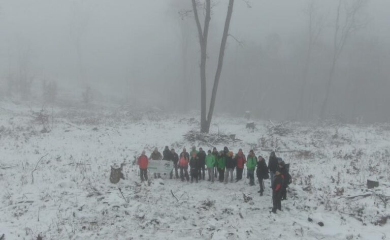 Szemléletváltást az erdőkezelésben - ne égessük tovább erőművekben védett erdeinket!