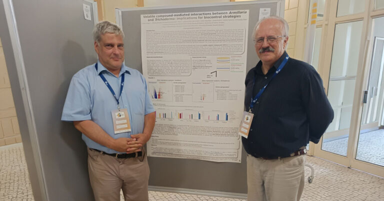 A Soproni Egyetem és a Szegedi Tudományegyetem összefogása a diófák egészségéért