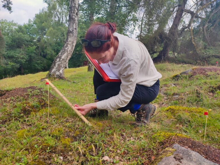 Amikor egy fontos erőforrás kiesik: mit taníthatnak nekünk a vöröshangyák hálózatai?