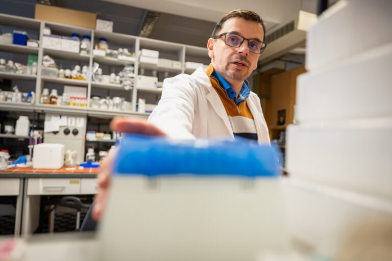 DNS-védelem: SZTE-s kutatók vizsgálják, hogyan javíthatók hatékonyabban a sugárzás okozta károsodások