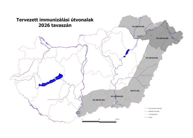 Március végén tavaszi rókavakcinázás indul
