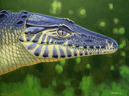 Szárazföldi krokodil garázdálkodott a Bakonyban 85 millió évvel ezelőtt