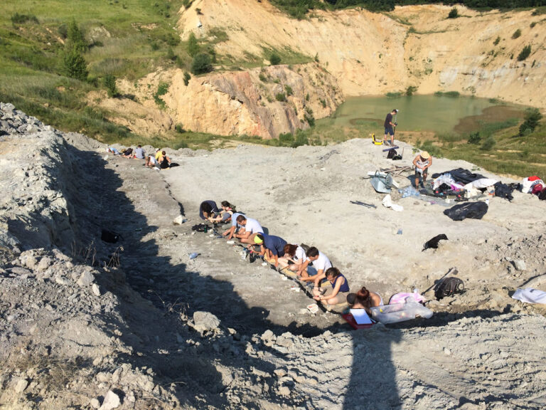 Szárazföldi krokodil garázdálkodott a Bakonyban 85 millió évvel ezelőtt