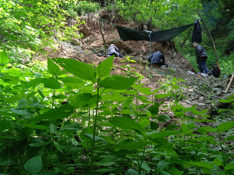 Új dinoszaurusz fajt fedeztek fel magyar kutatók Erdélyben