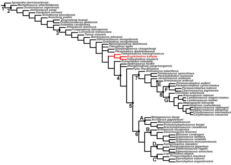 Új dinoszaurusz fajt fedeztek fel magyar kutatók Erdélyben