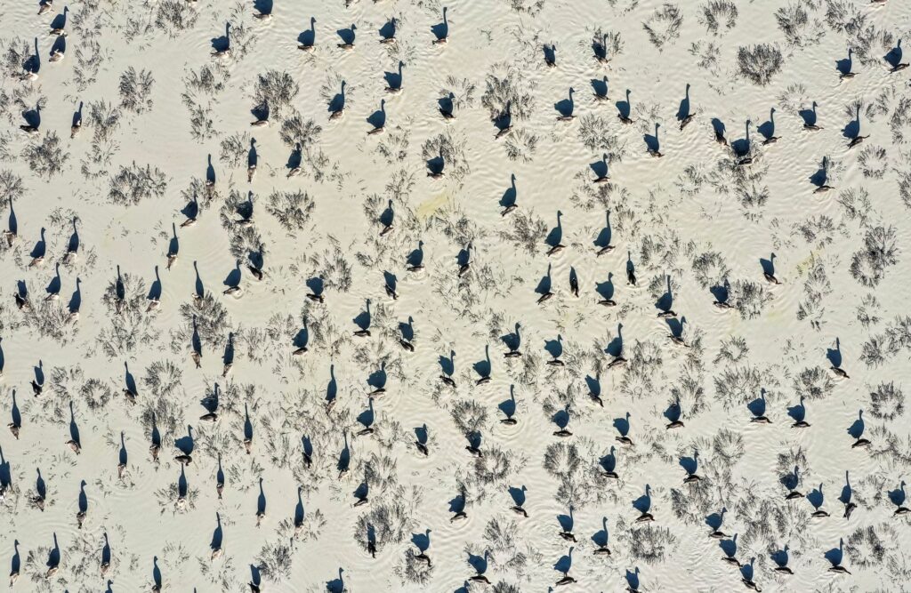 Csodás természet, a természet csodái: itt vannak az Akadémia természetfotó-pályázatának díjazottjai