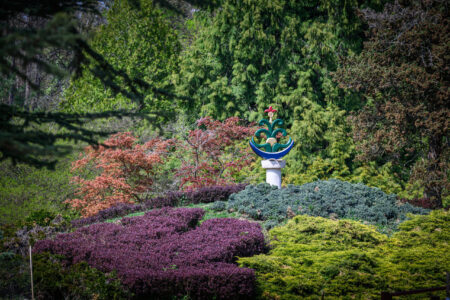 Harmónia és történelem: Japánkertet avatott a Soproni Egyetem a Kámoni Arborétumban