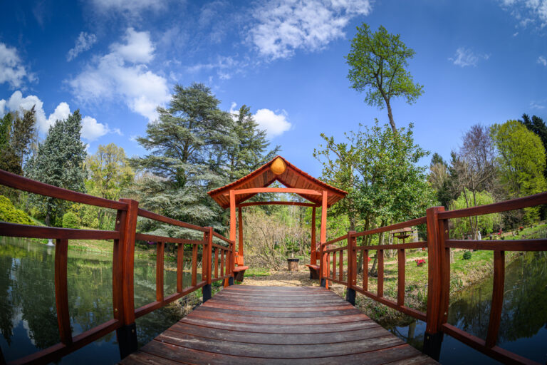 Harmónia és történelem: Japánkertet avatott a Soproni Egyetem a Kámoni Arborétumban