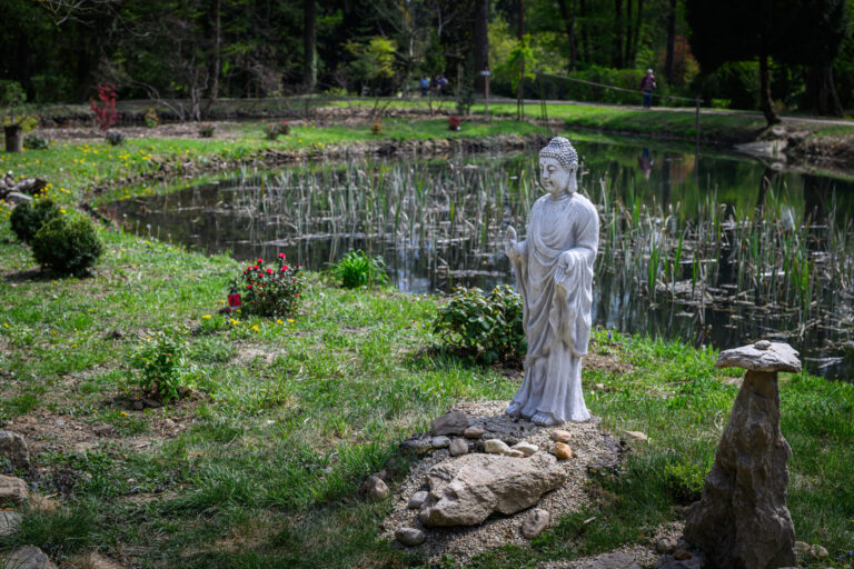 Harmónia és történelem: Japánkertet avatott a Soproni Egyetem a Kámoni Arborétumban