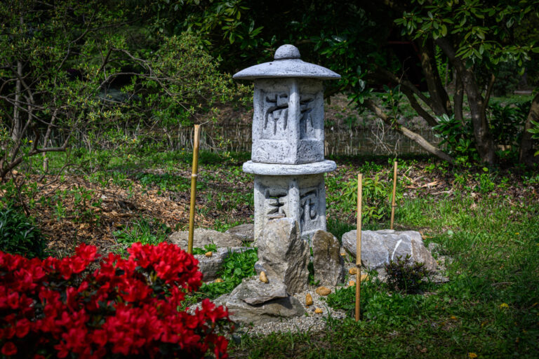 Harmónia és történelem: Japánkertet avatott a Soproni Egyetem a Kámoni Arborétumban