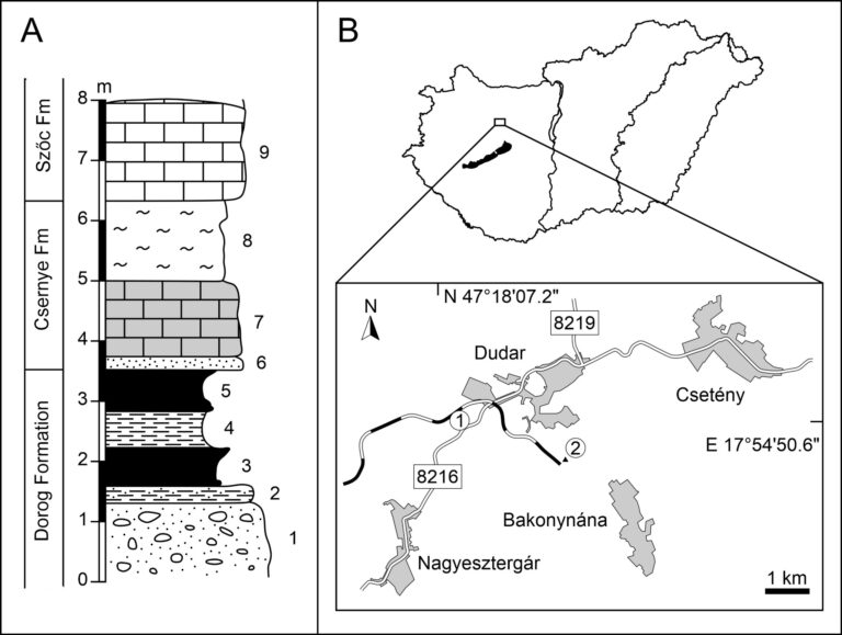 Magyarországi fosszíliák zárják le a belemniteszek kihalásáról szóló vitát