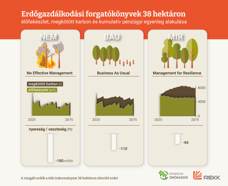 Nem a beavatkozás, hanem a tétlenség a legdrágább a telepített, magukra hagyott erdőkben