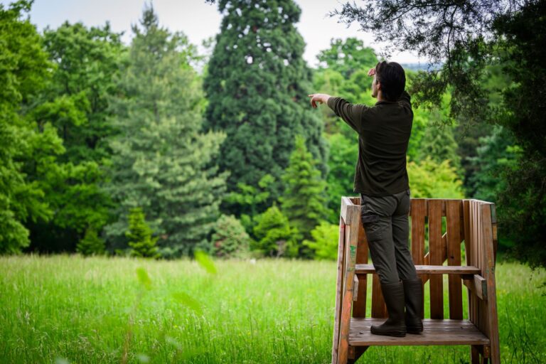 Újra túracipőt húz Sopron: érkezik a „Jó Szerencsét!” Egyetemi Túranap
