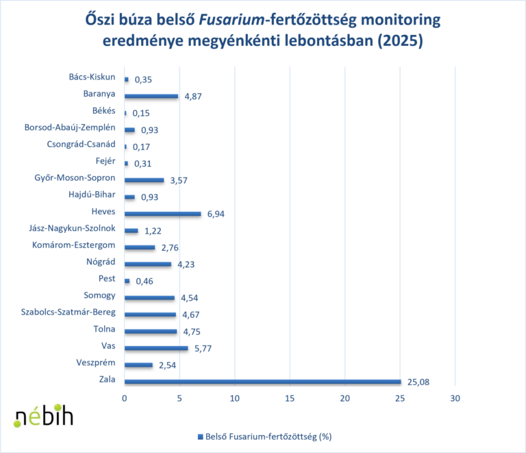 Fusarium a Nébih fókuszában: országos monitoring a biztonságos gabonatermésért