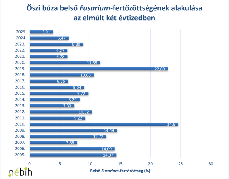 Fusarium a Nébih fókuszában: országos monitoring a biztonságos gabonatermésért
