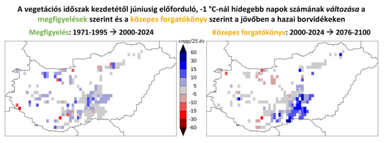 A szőlő szereti a meleget, de a magyar borvidékeknek már túl sok jut belőle