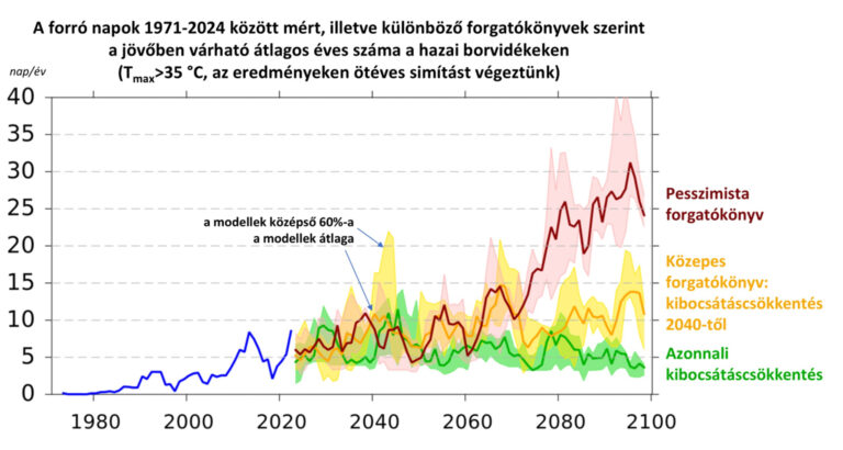A szőlő szereti a meleget, de a magyar borvidékeknek már túl sok jut belőle