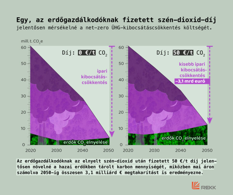 Nem csak az számít, mennyi fát termel az erdő: százmilliárdokat érhet, ha tovább állva marad